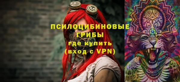 ешки Алексин