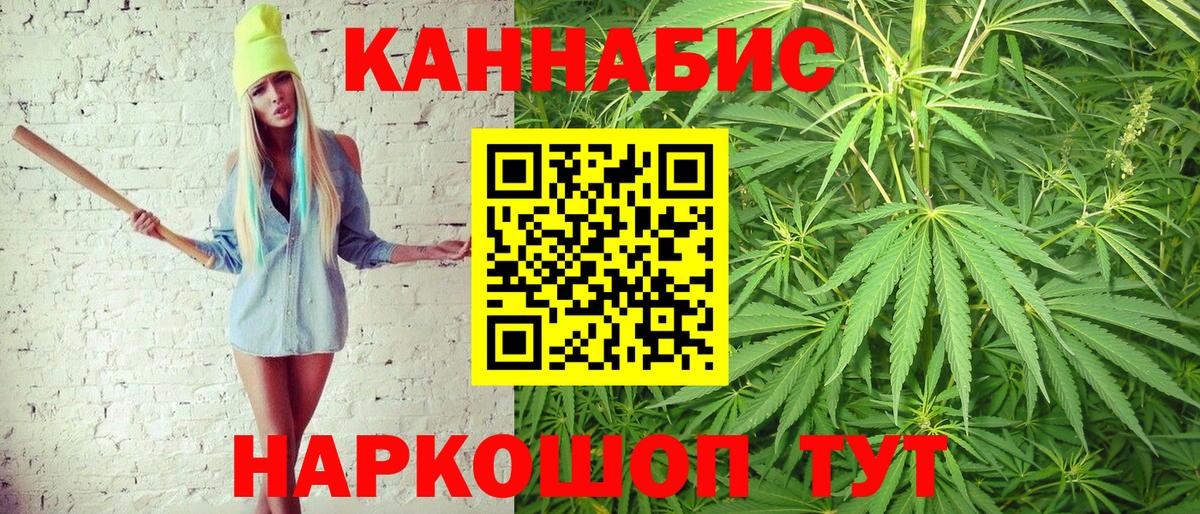 Шишки марихуана планчик  Вход с VPN  Шишки марихуана марихуана  Дмитров  Каннабис индика 